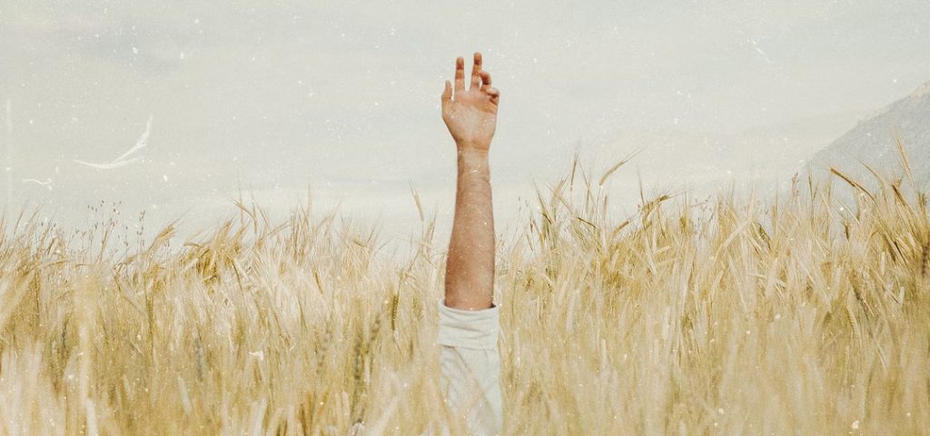 Deus-sempre-salvará